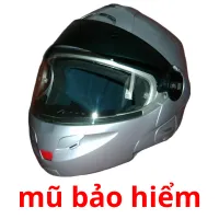 mũ bảo hiểm flashcards illustrate