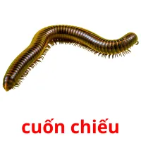 cuốn chiếu Bildkarteikarten