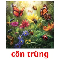 côn trùng picture flashcards