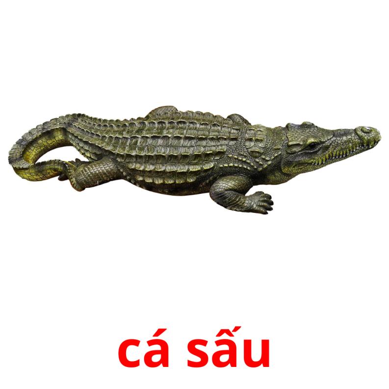 cá sấu карточки энциклопедических знаний