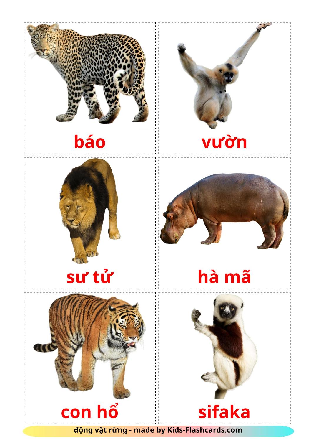Jungle animals - 21 Free Printable vietnamese Flashcards 