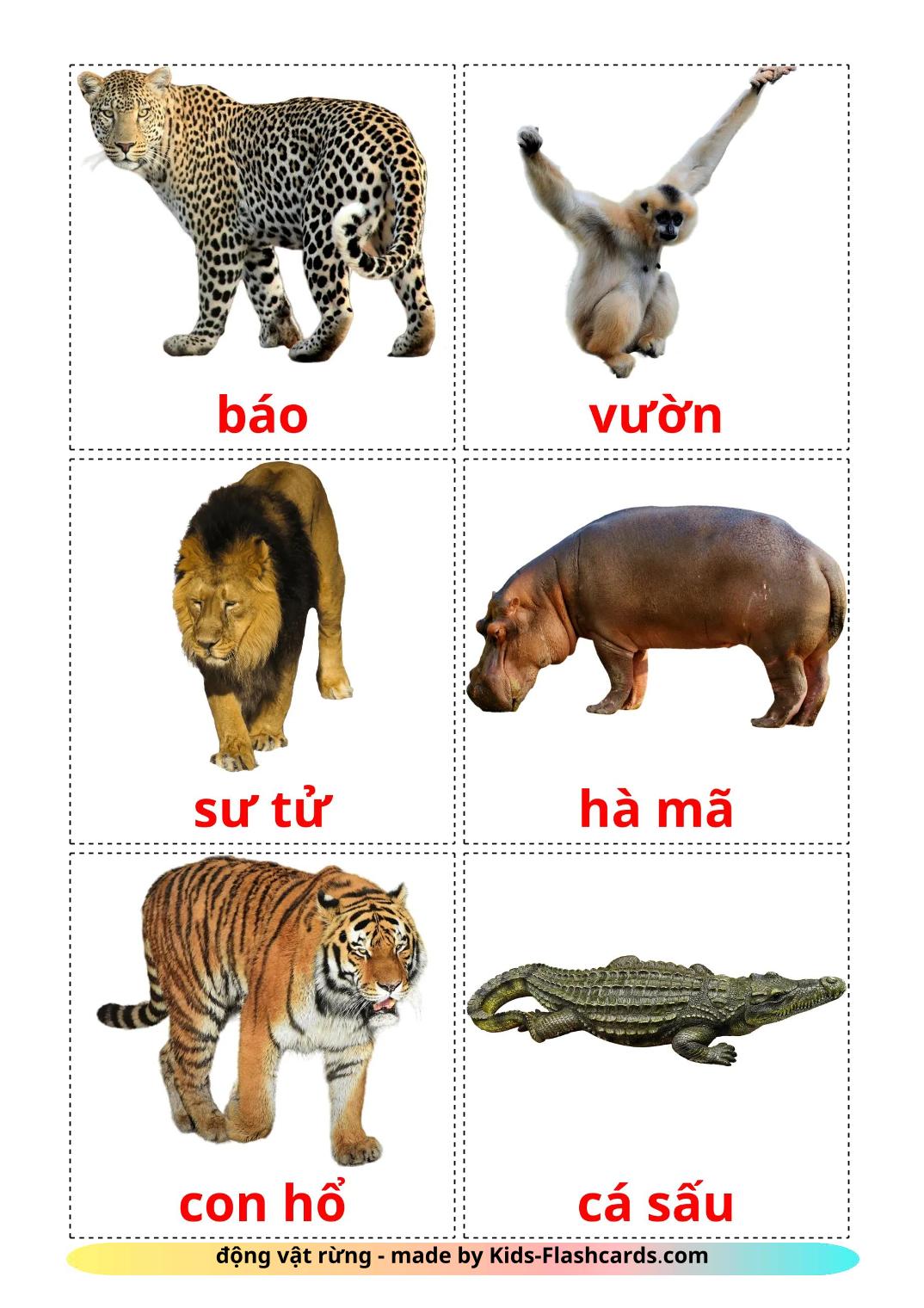 Dschungel Tiere - 22 kostenlose, druckbare Vietnamesisch Flashcards 