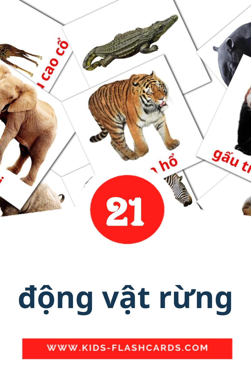 21 động vật rừng Picture Cards for Kindergarden in vietnamese