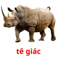 tê giác Bildkarteikarten