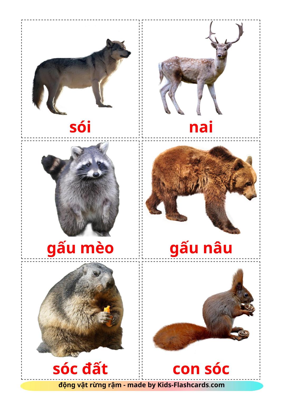 Лесные животные - 22 Карточки Домана на вьетнамском