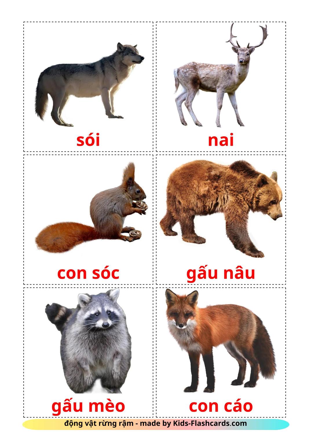 Forest animals - 23 Free Printable vietnamese Flashcards 