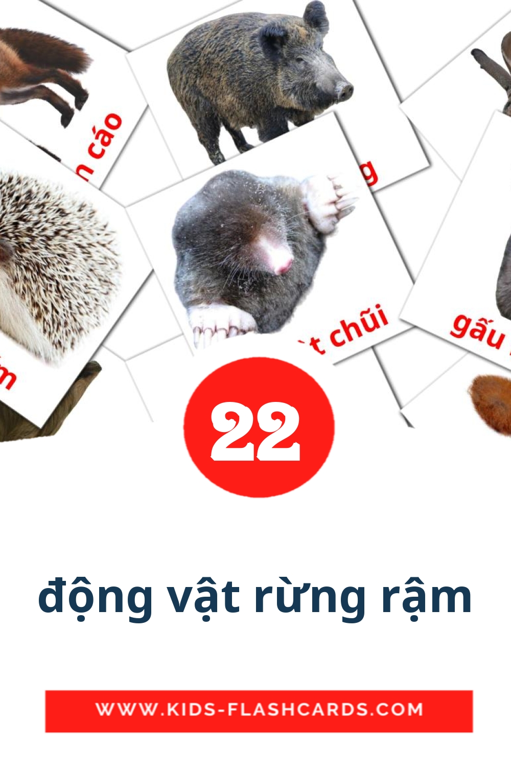 động vật rừng rậm на вьетнамском для Детского Сада (22 карточки)