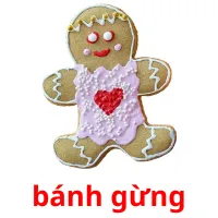 bánh gừng flashcards illustrate