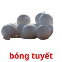 bóng tuyết flashcards illustrate