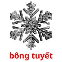 bông tuyết card for translate