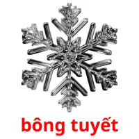 bông tuyết flashcards illustrate