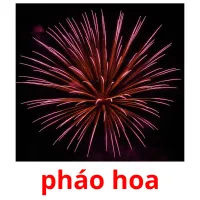 pháo hoa flashcards illustrate