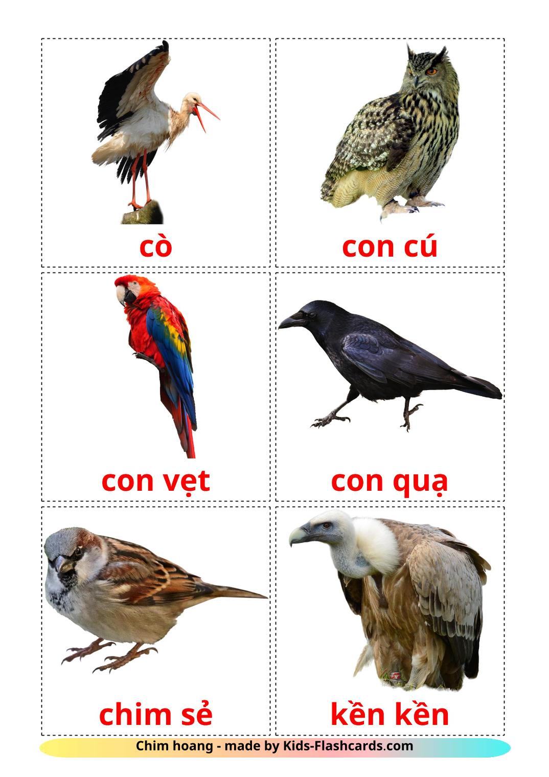 Les Oiseaux Sauvages - 18 Flashcards vietnamien imprimables gratuitement