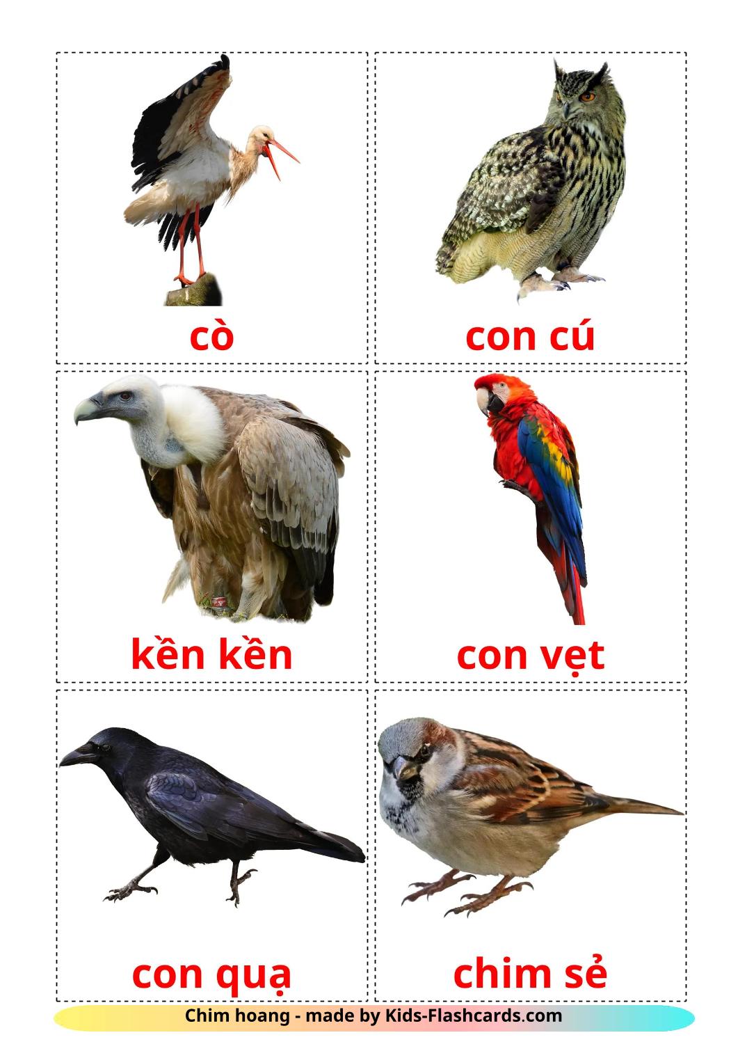 Wild birds - 19 Free Printable vietnamese Flashcards 