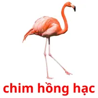 chim hồng hạc picture flashcards