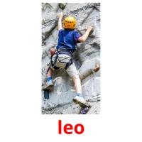 leo picture flashcards