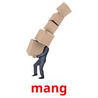 mang picture flashcards