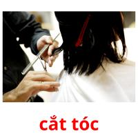 cắt tóc card for translate
