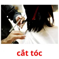 cắt tóc flashcards illustrate