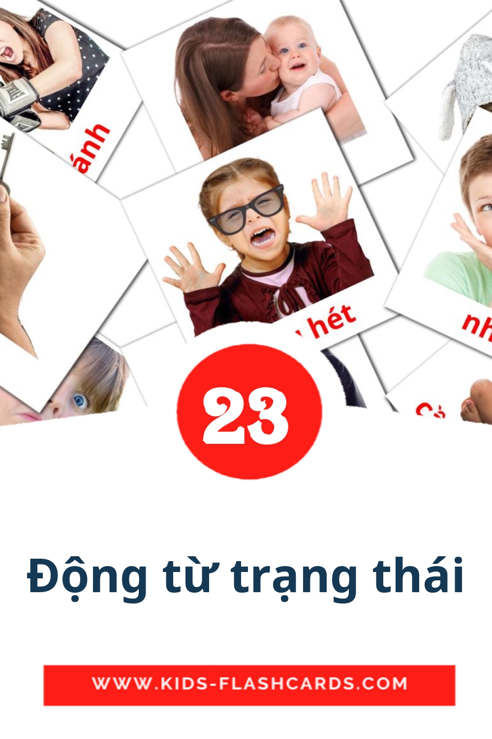 23 Động từ trạng thái Picture Cards for Kindergarden in vietnamese