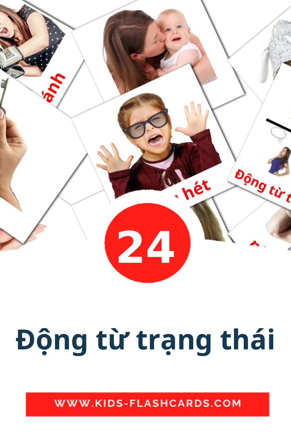 24 Động từ trạng thái Picture Cards for Kindergarden in vietnamese