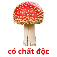 có chất độc flashcards illustrate