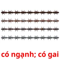 có ngạnh; có gai ansichtkaarten