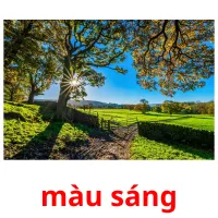 màu sáng flashcards illustrate