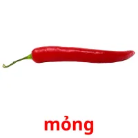 mỏng ansichtkaarten