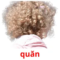 quăn flashcards illustrate