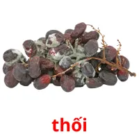 thối flashcards illustrate