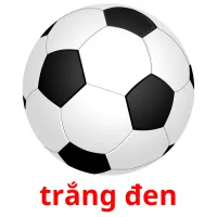 trắng đen ansichtkaarten