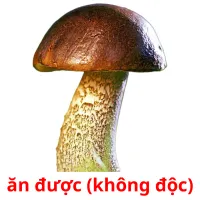 ăn được (không độc) ansichtkaarten