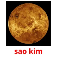 sao kim cartões com imagens