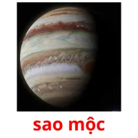 sao mộc cartões com imagens