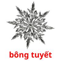 bông tuyết picture flashcards