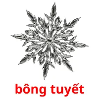 bông tuyết flashcards illustrate