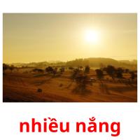 nhiều nắng picture flashcards