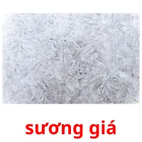 sương giá flashcards illustrate