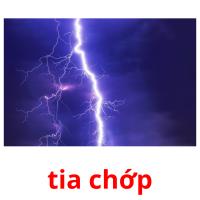tia chớp picture flashcards