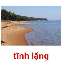 tĩnh lặng flashcards illustrate