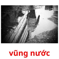 vũng nước flashcards illustrate