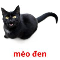 mèo đen Bildkarteikarten