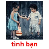 tình bạn picture flashcards