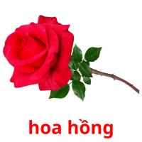 hoa hồng picture flashcards