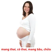 mang thai, có thai, mang bầu, chửa Bildkarteikarten