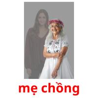 mẹ chồng picture flashcards