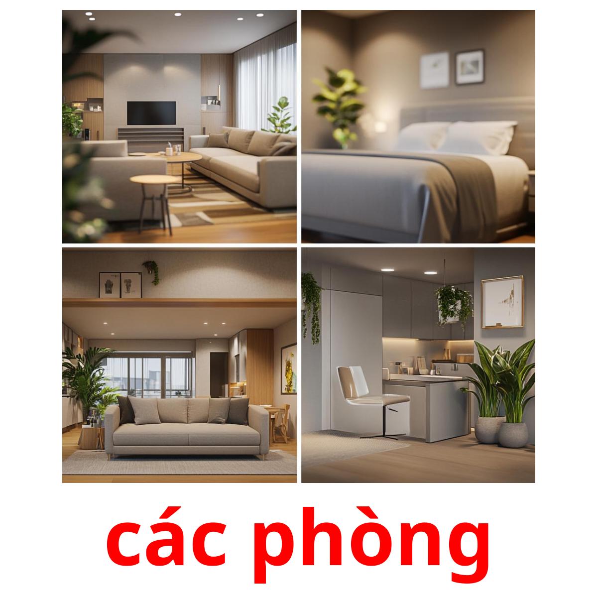 các phòng picture flashcards