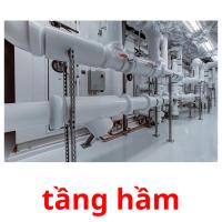 tầng hầm picture flashcards