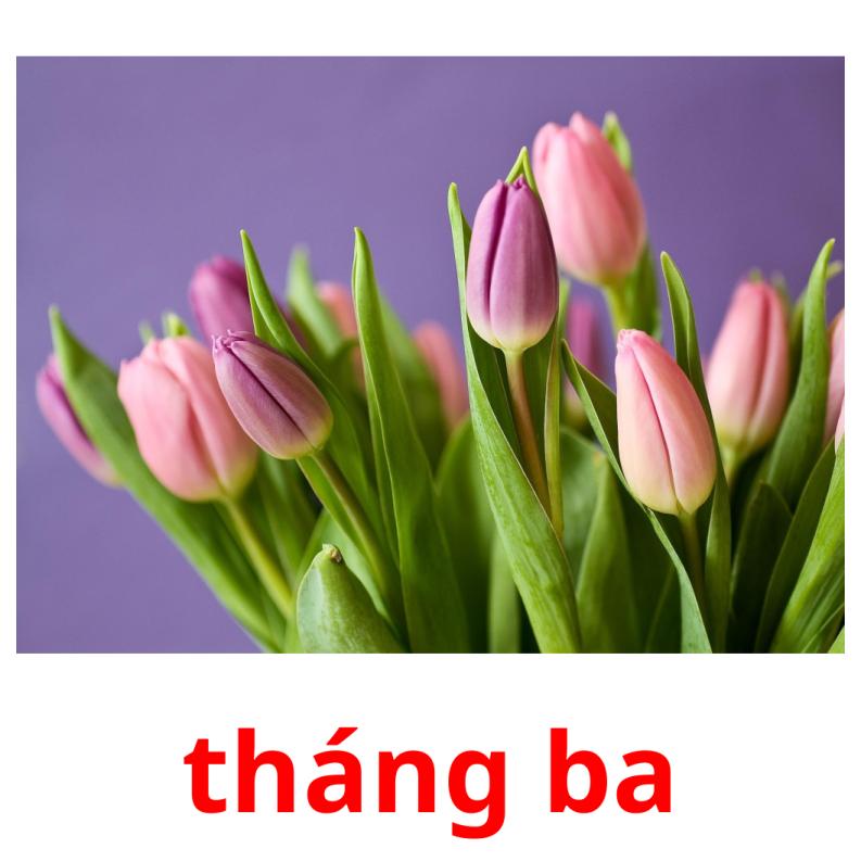 tháng ba picture flashcards